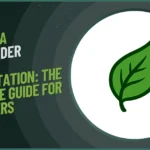 Big O Notation: The Ultimate Guide for Beginners - Why Every Developer Needs to Master This Concept